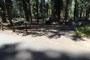 Crane Flat Campground 105