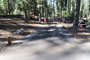 Crane Flat Campground 113