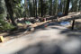 Crane Flat Campground 118