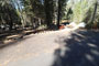 Crane Flat Campground 214