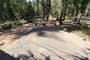 Crane Flat Campground 403