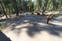 Crane Flat Campground 405