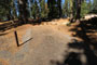 Crane Flat Campground 414