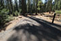 Crane Flat Campground 415