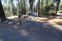 Crane Flat Campground 422