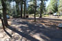 Crane Flat Campground 424