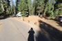 Crane Flat Campground 440