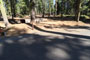 Crane Flat Campground 502