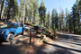 Crane Flat Campground 526