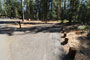 Crane Flat Campground 535