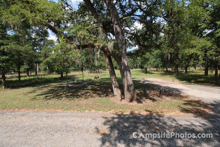 Stephen F. Austin State Park 047