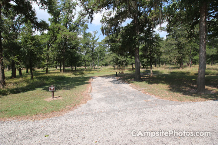 Stephen F. Austin State Park 049