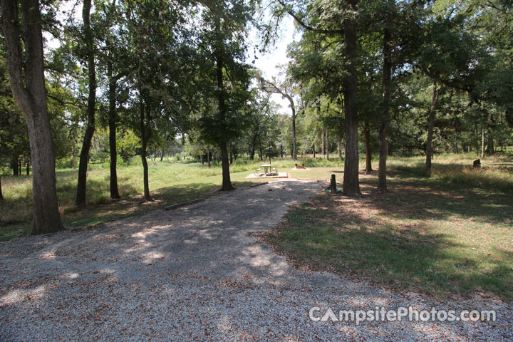 Stephen F. Austin State Park 055