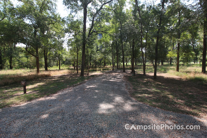 Stephen F. Austin State Park 061