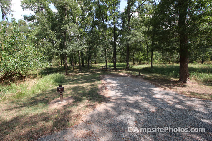 Stephen F. Austin State Park 071