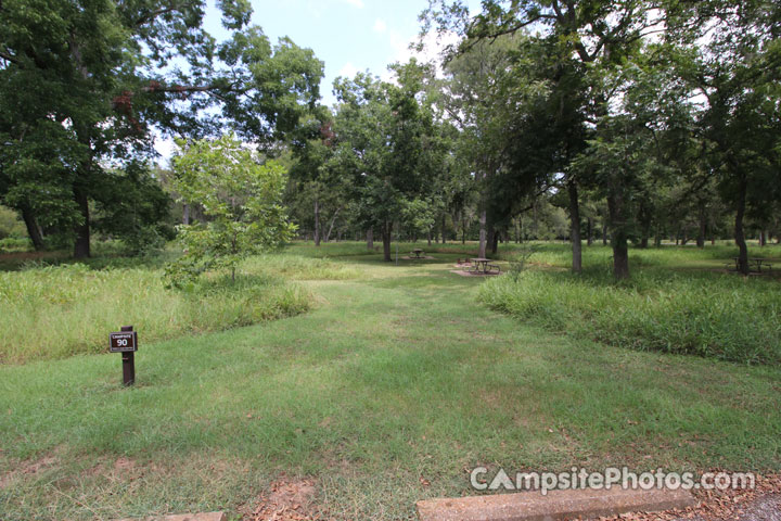 Stephen F. Austin State Park 090