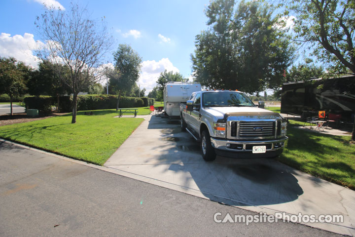 Rancho Jurupa Park Cottonwood 225