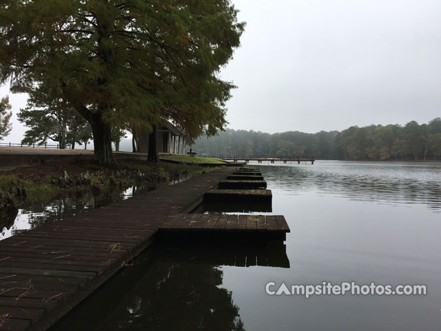 Roosevelt State Park Docks