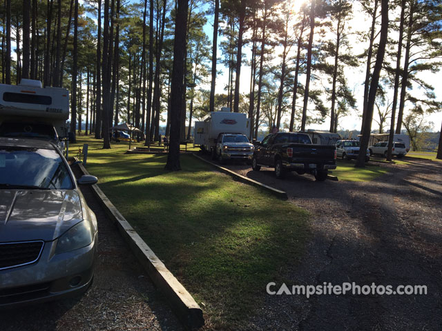 Pickwick Dam Tailwater 069