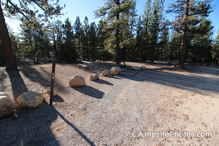 Bryce Canyon North 044