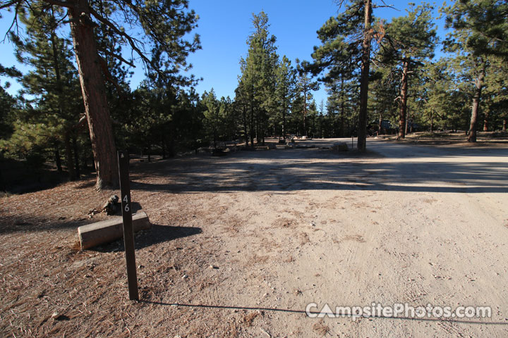 Bryce Canyon North 046