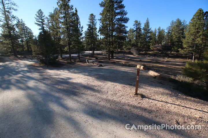 Bryce Canyon North 059