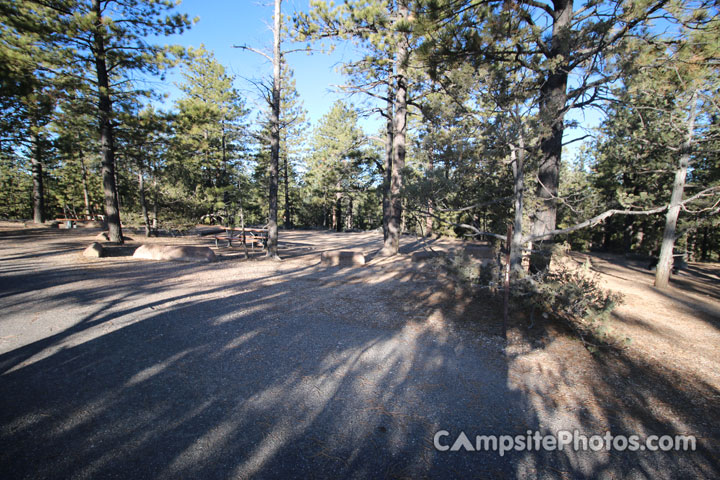 Bryce Canyon North 099