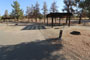 Lake McSwain Campground G013