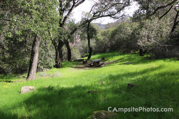 Fremont Los Padres National Forest 014