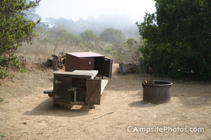 Manresa State Beach 006