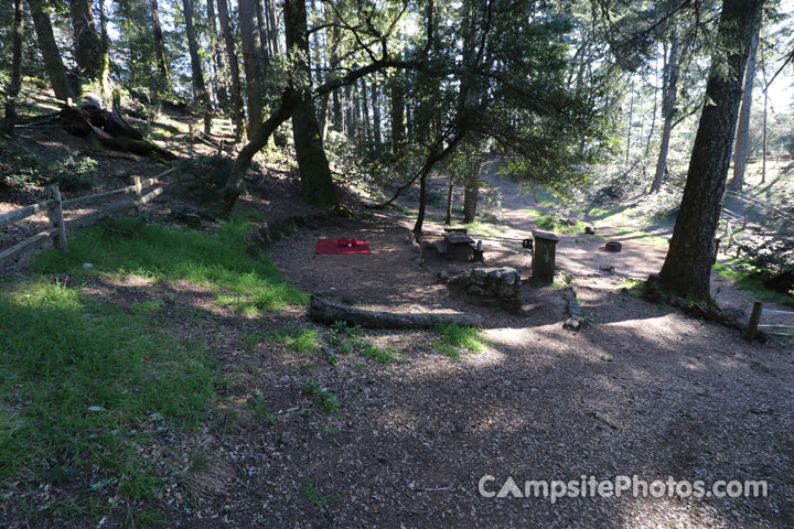 Mount Tamalpais State Park Pantoll 005