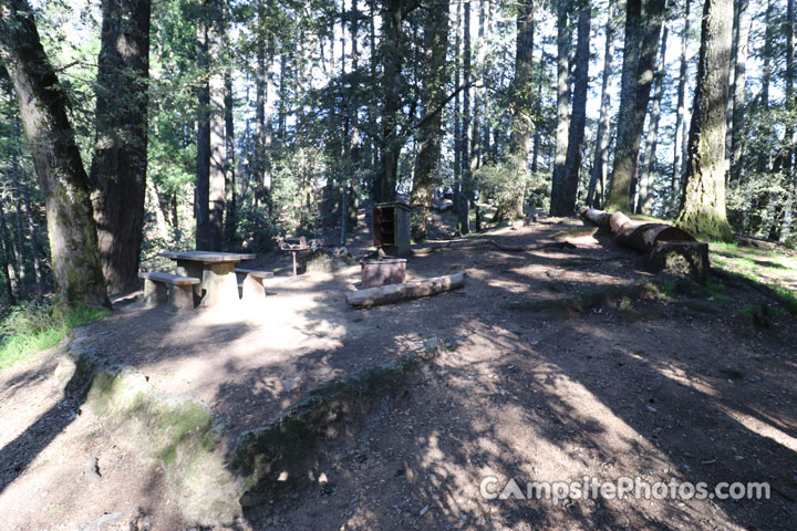 Mount Tamalpais State Park Pantoll 008