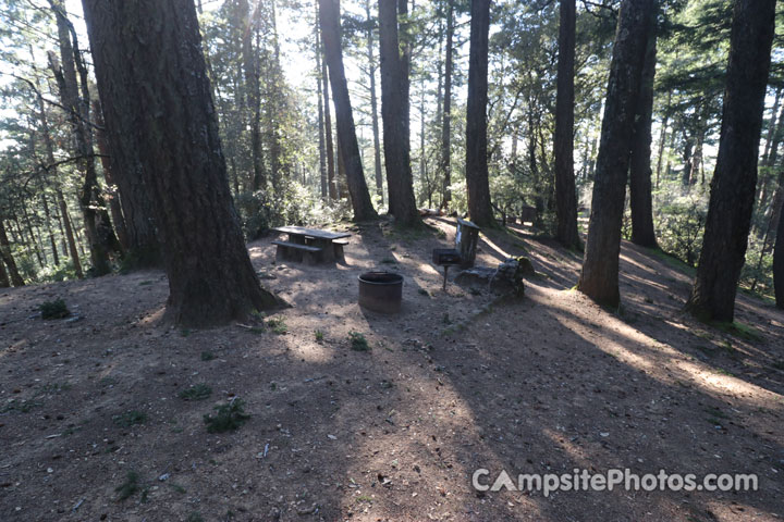 Mount Tamalpais State Park Pantoll 009