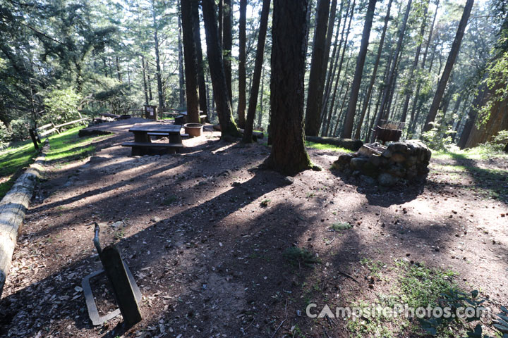 Mount Tamalpais State Park Pantoll 010