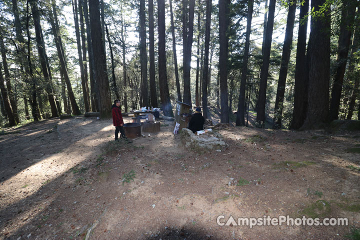 Mount Tamalpais State Park Pantoll 012