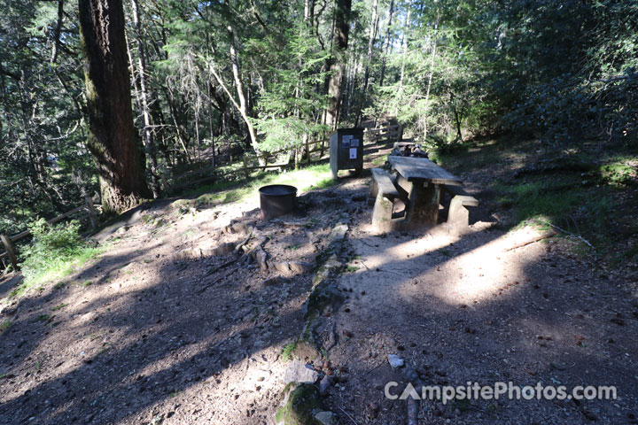 Mount Tamalpais State Park Pantoll 014