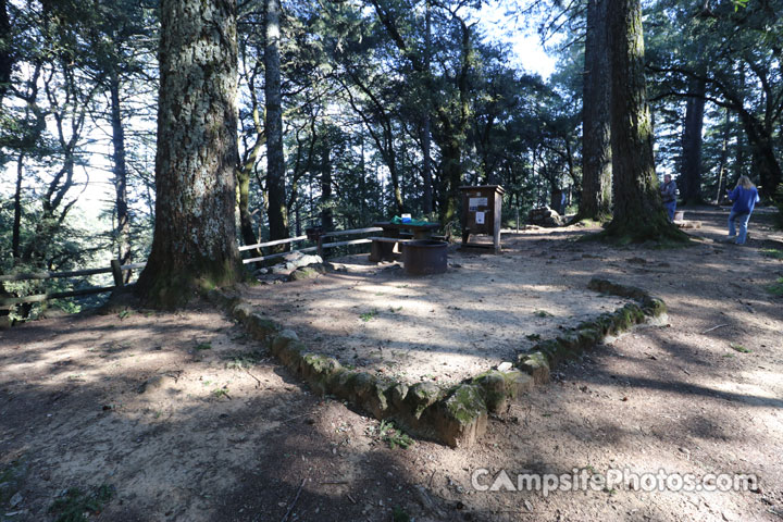 Mount Tamalpais State Park Pantoll 016