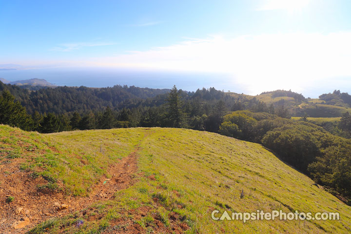 Mount Tamalpais State Park View