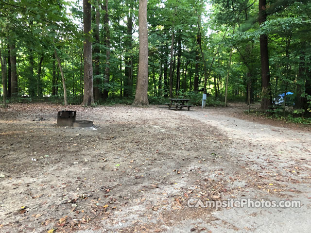 Turkey Run State Park 193