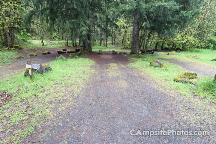 Cougar Crossing Campground 003