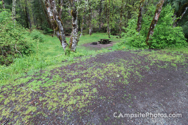 Cougar Crossing Campground 007