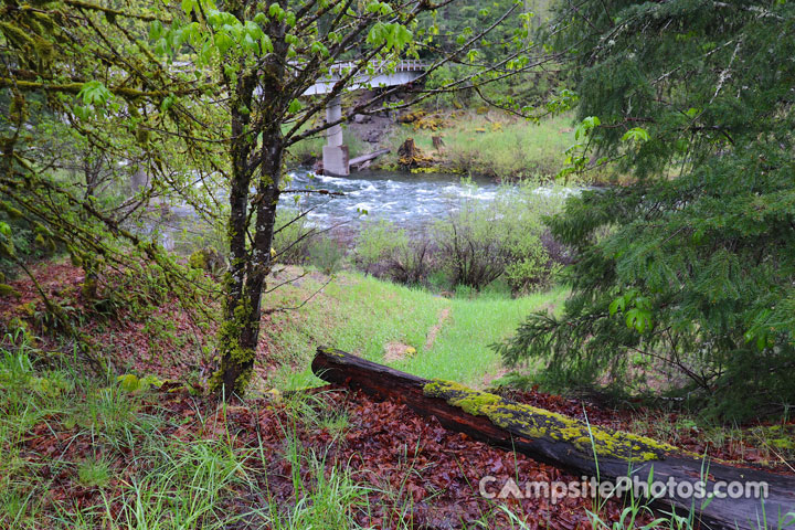 Cougar Crossing Campground McKenzie River View