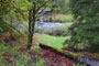 Cougar Crossing Campground McKenzie River View