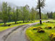 Lookout Campground Road