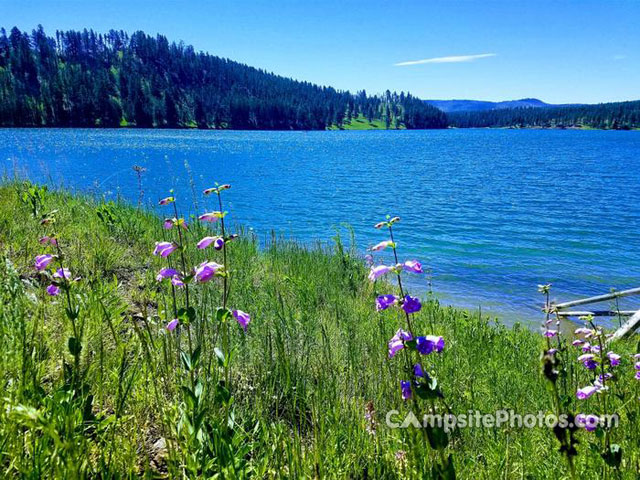 Whitetail Campground Scenic