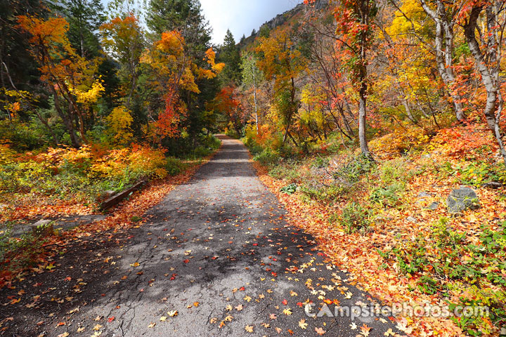 Mt. Timpanogos Campground Road