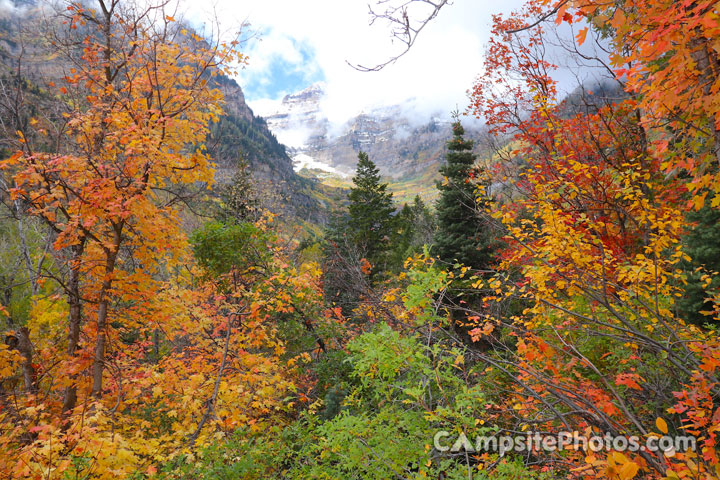 Mt. Timpanogos View