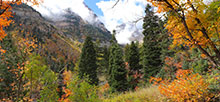 Mt. Timpanogos