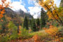 Mt. Timpanogos Scenic