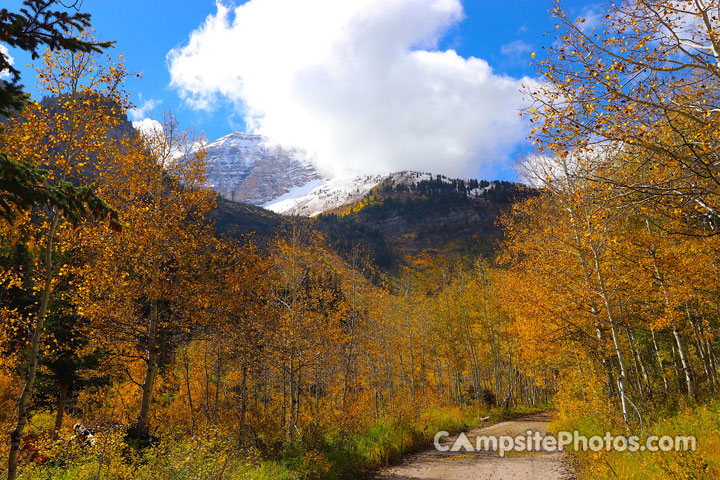 Timpooneke Campground View